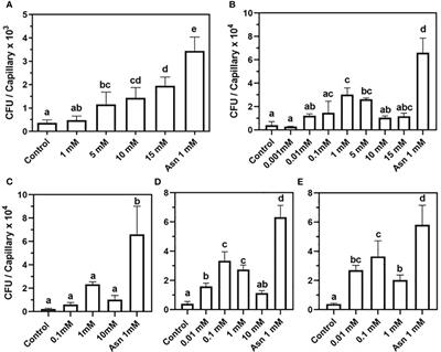 Root-secreted nucleosides: signaling chemoattractants of rhizosphere bacteria